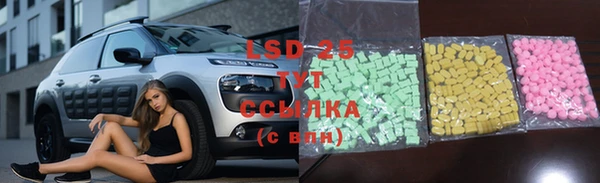 прущие грибы Сосновоборск