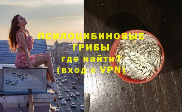 винт Аркадак