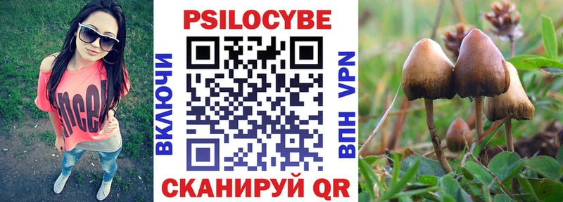 Галлюциногенные грибы мицелий Выкса