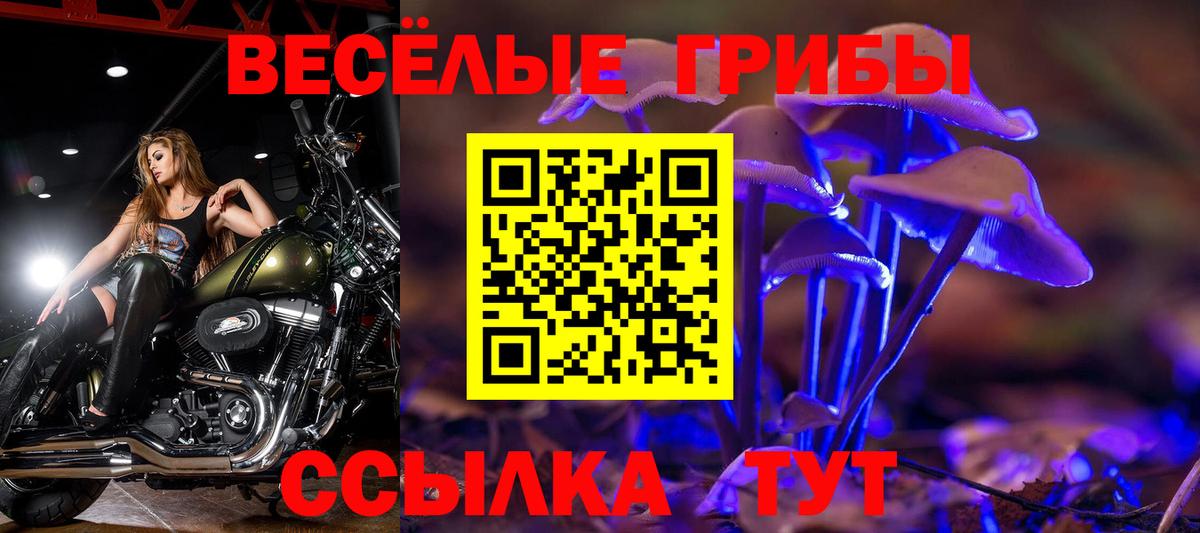 Галлюциногенные грибы мухоморы Выкса