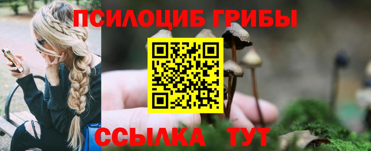 Выкса  Галлюциногенные грибы прущие грибы  Вход с VPN 